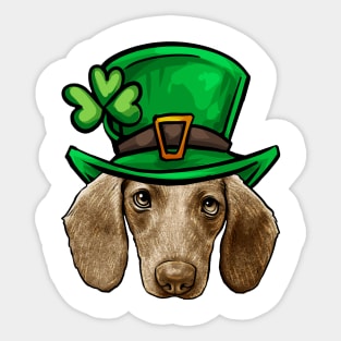 St Patricks Day Dachshund Sticker